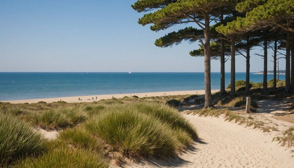 Découvrez le domaine les oréades : camping à arcachon idéal